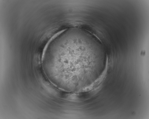 X0000112810182200909111307