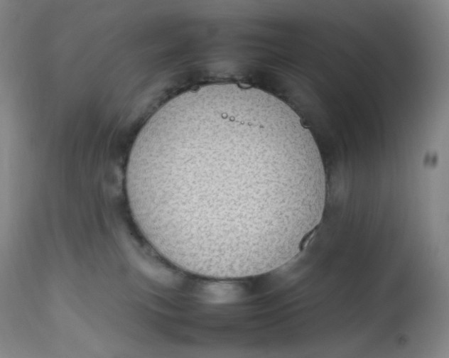 X0000112810183200909111307