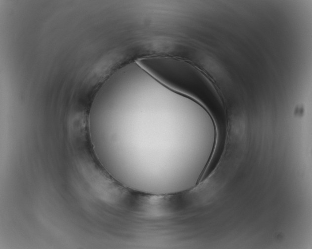 X0000112810184200909111307