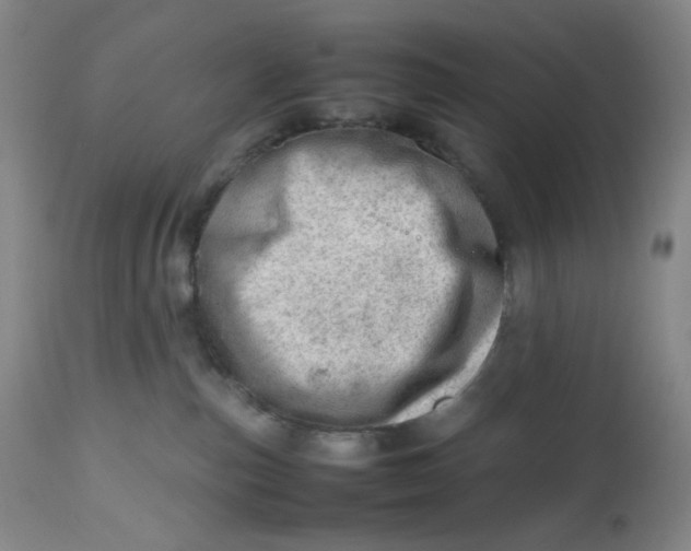 X0000112810187200909111308