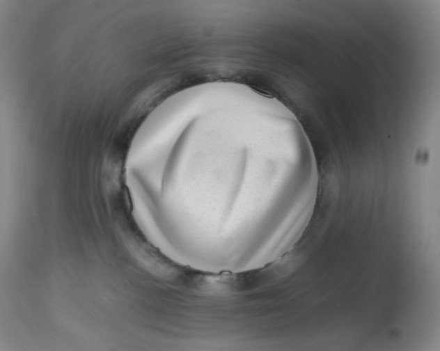 X0000112810188200909111308