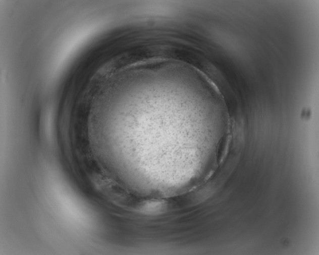 X0000112810189200909111308