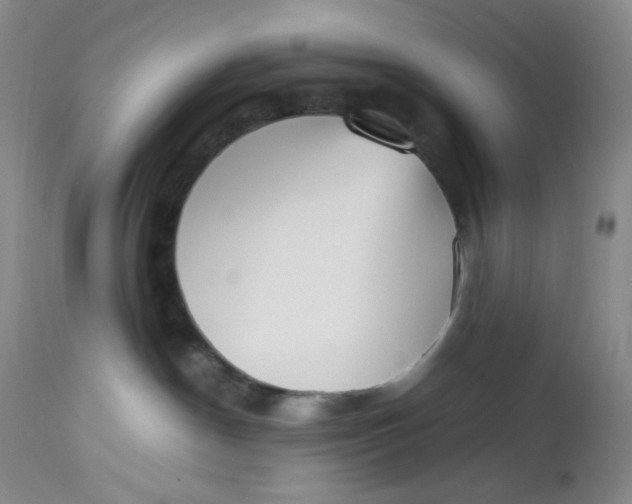 X0000112810190200909111308