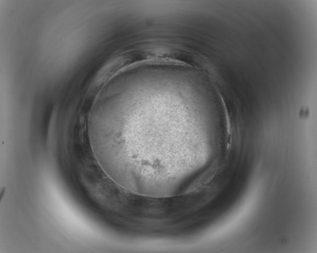 X0000112810191200909111308