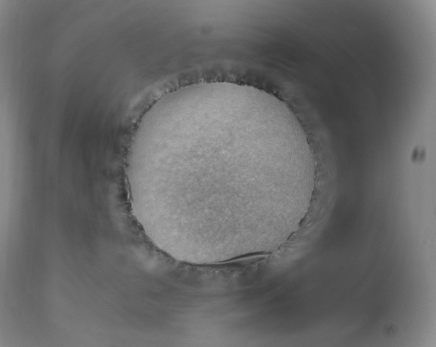 X0000112810192200909111308