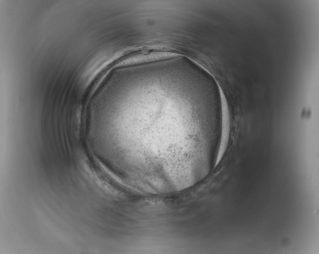 X0000112810194200909111307