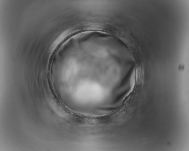 X0000112810195200909111307