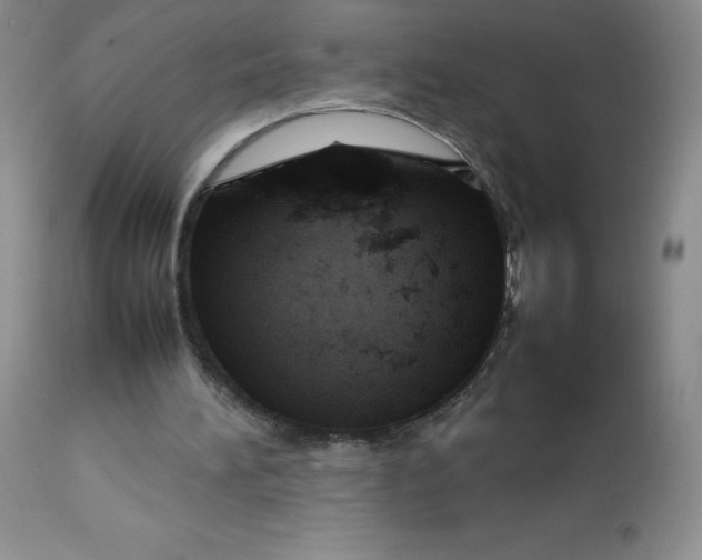 X0000112810196200909111307