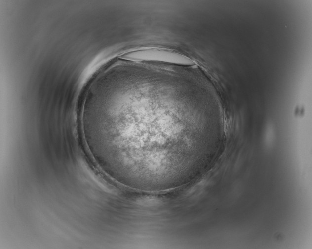 X0000112810198200909111307