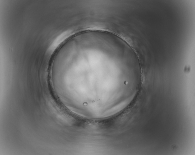 X0000112810199200909111307