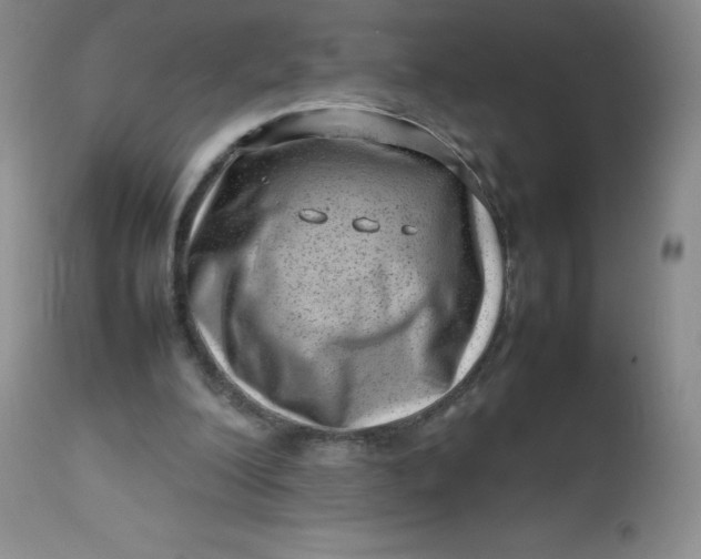 X0000112810200200909111307