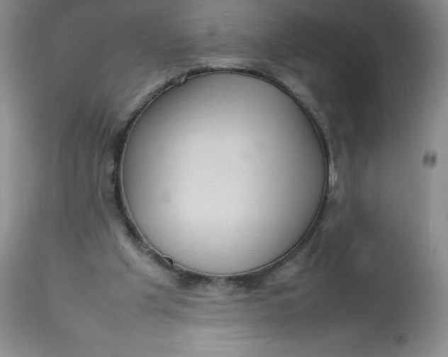 X0000112810201200909111307