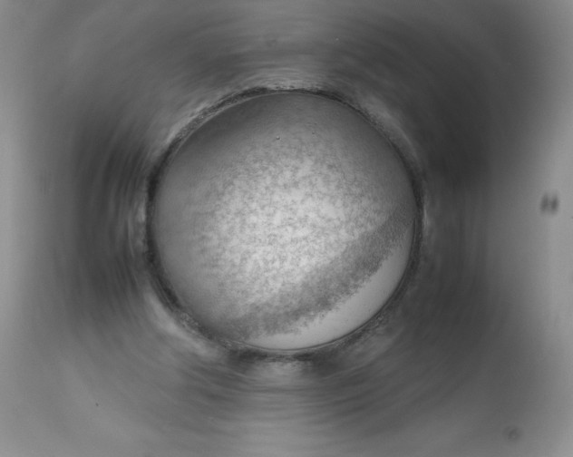 X0000112810202200909111307