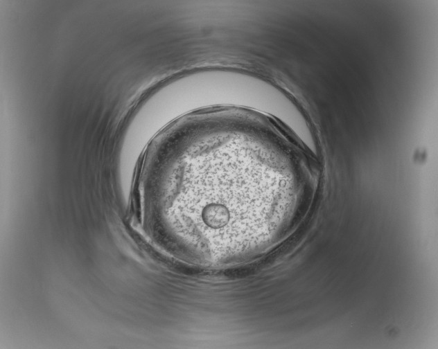 X0000112810203200909111307