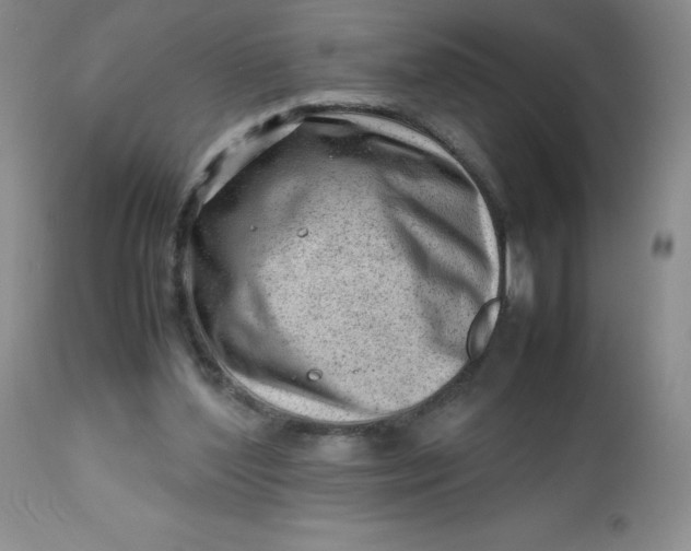 X0000112810204200909111307