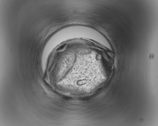 X0000112810205200909111307