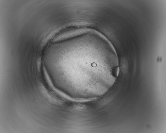 X0000112810206200909111307