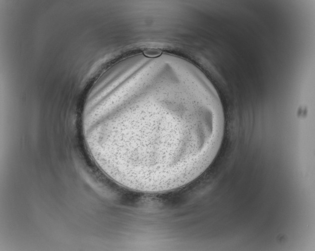 X0000112810207200909111307