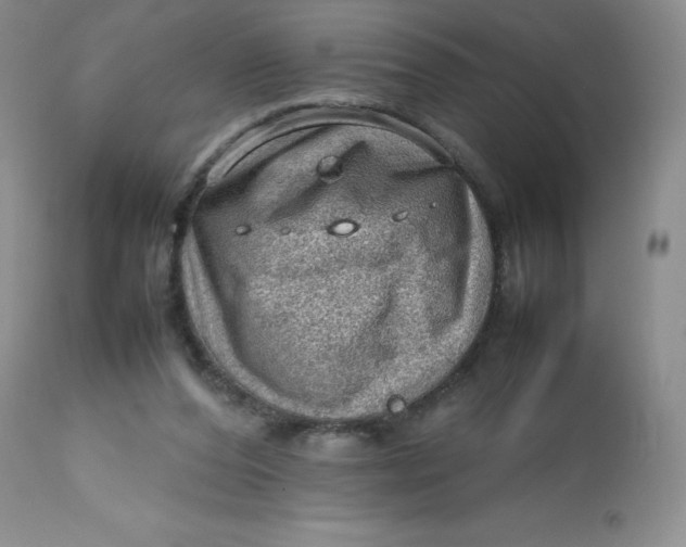 X0000112810208200909111307