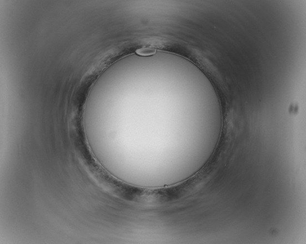 X0000112810209200909111307