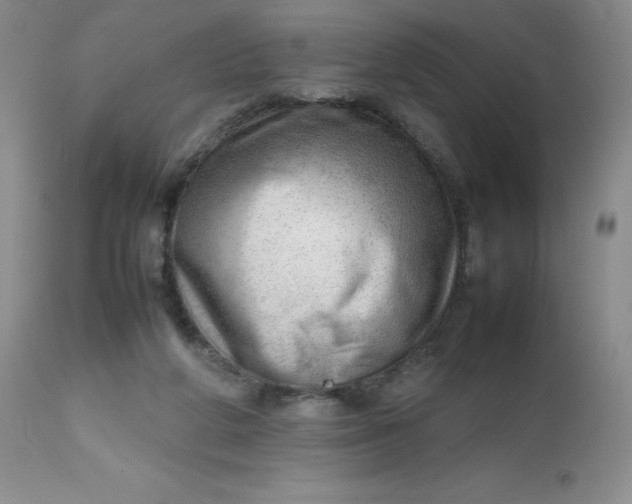 X0000112810210200909111307