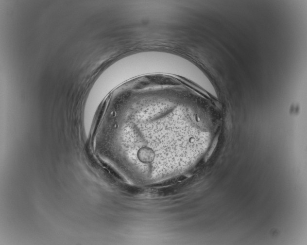 X0000112810211200909111307