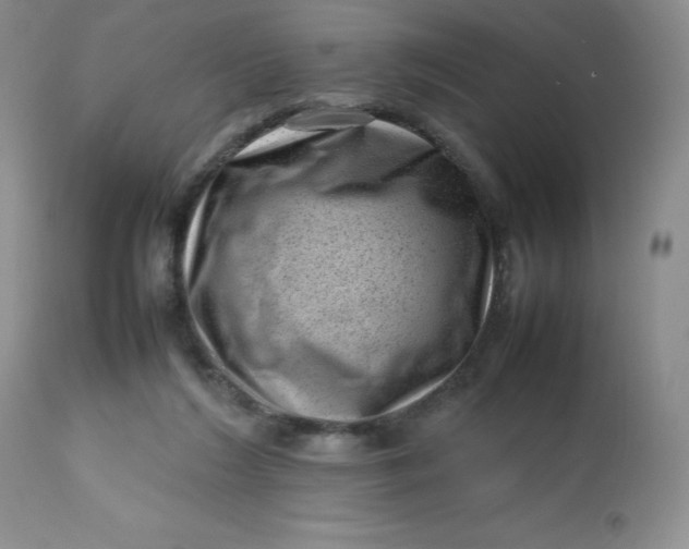 X0000112810212200909111307