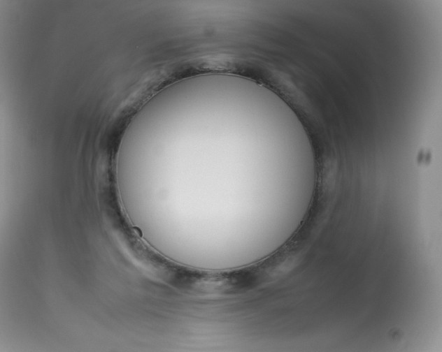 X0000112810213200909111307