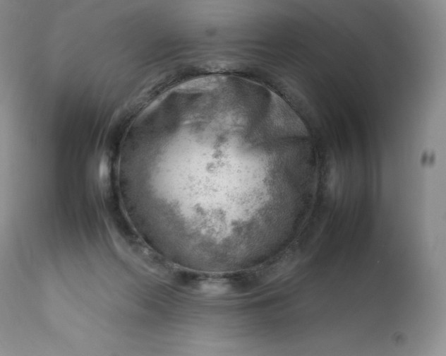 X0000112810214200909111307