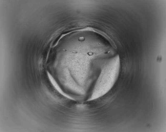 X0000112810216200909111307