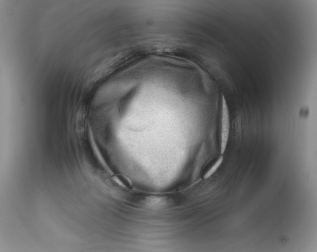 X0000112810218200909111307