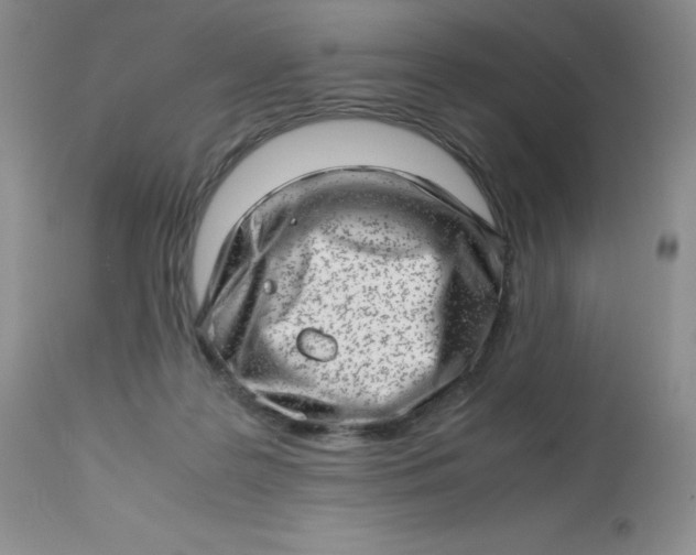 X0000112810219200909111307