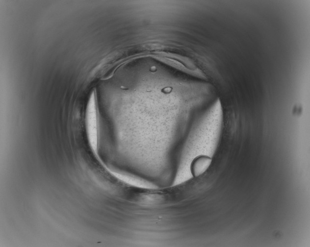 X0000112810220200909111307