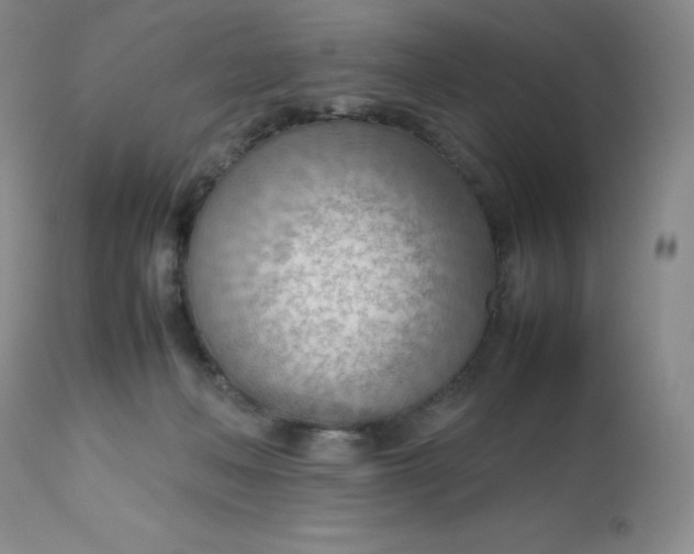 X0000112810222200909111307