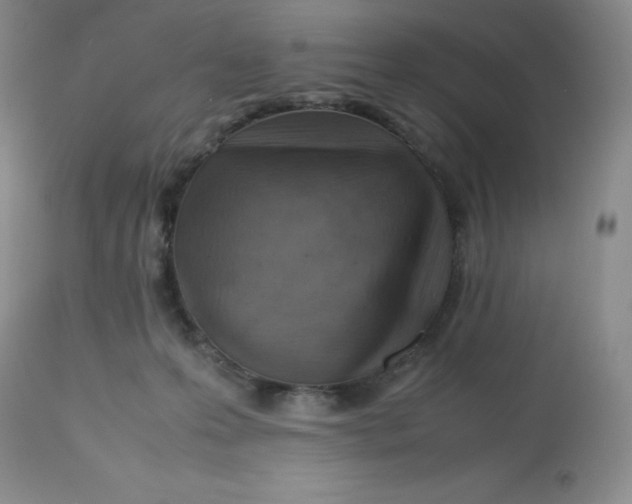 X0000112810223200909111306