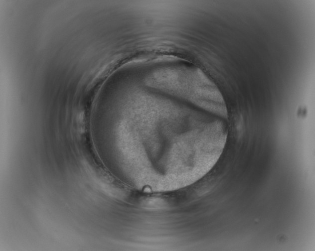 X0000112810224200909111306