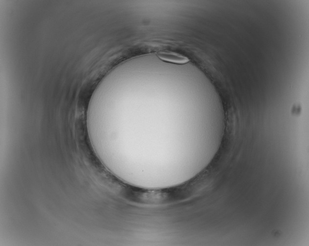 X0000112810225200909111306