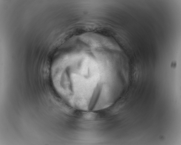 X0000112810226200909111306