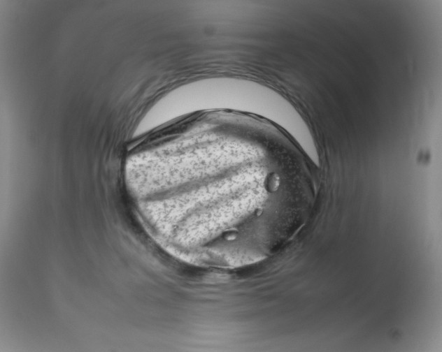 X0000112810227200909111306