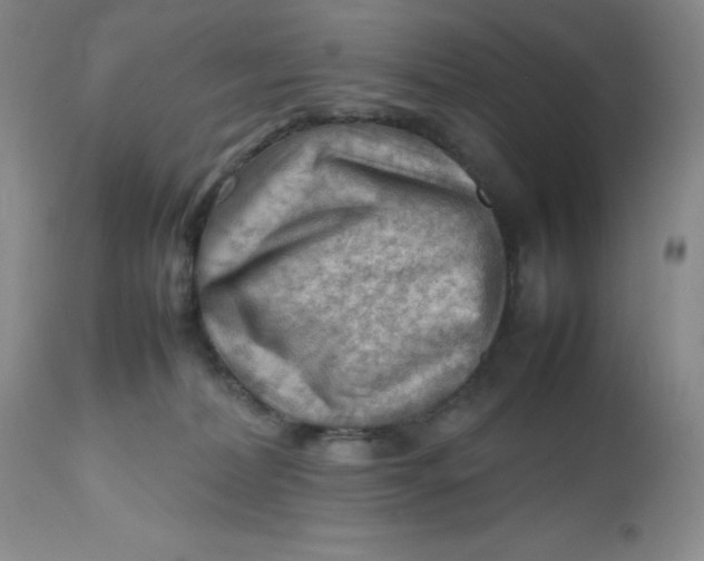 X0000112810228200909111306