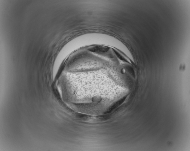 X0000112810229200909111306