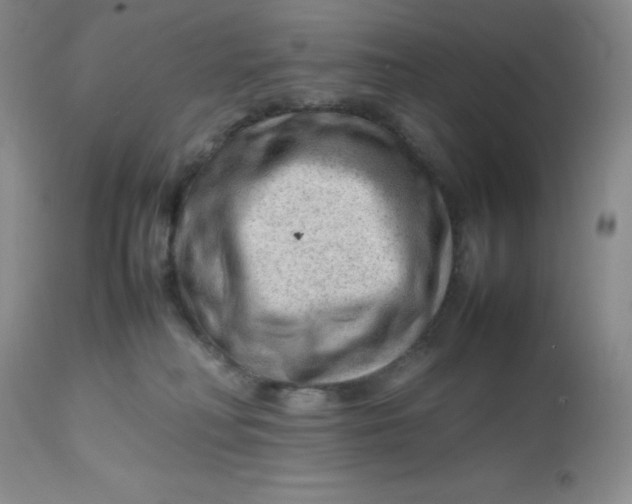 X0000112810230200909111306