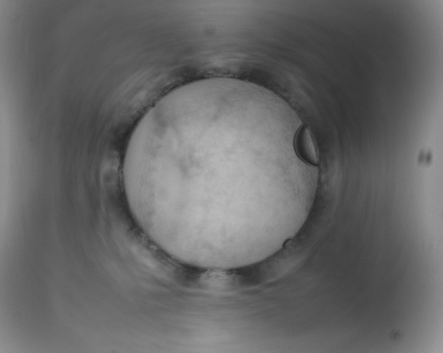 X0000112810231200909111306