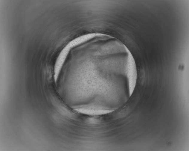 X0000112810232200909111306