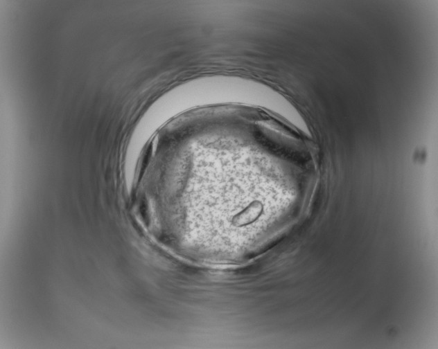 X0000112810233200909111306