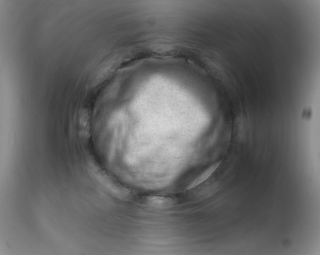 X0000112810234200909111306