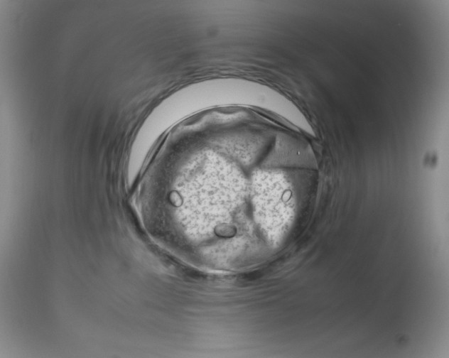 X0000112810235200909111306