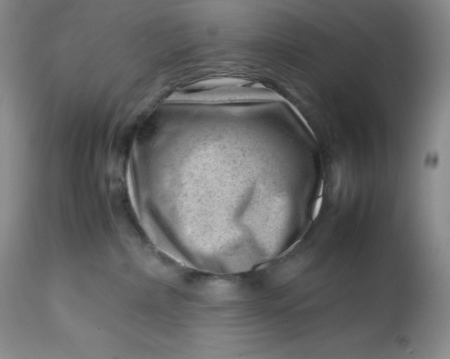 X0000112810236200909111306