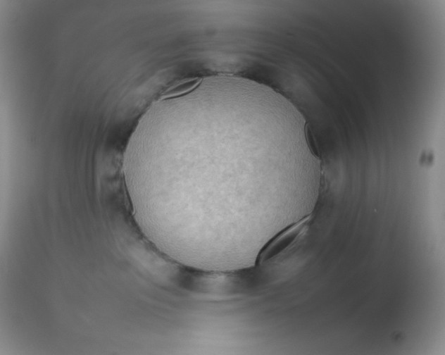 X0000112810237200909111306