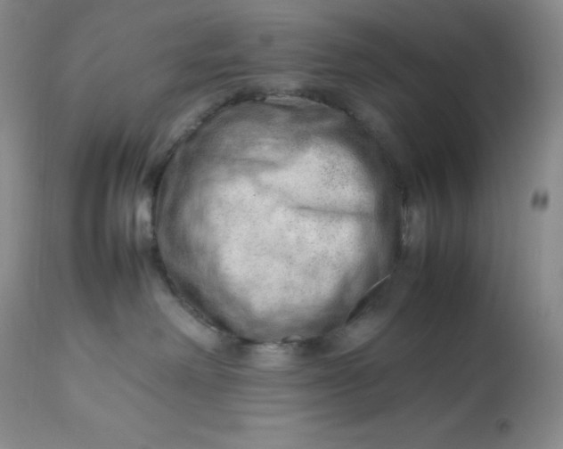 X0000112810238200909111306